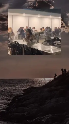 #sadvibes #sadstory #storywhatsapp #fypppppppppppppp 