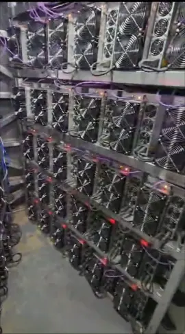 🛠 Bitmain Antminer S19s Are Up and Running! 🟢 Miners from our Strategic Partner, MineBest, are now operational inside a container at the #LATAM Mining facility! These miners mainly consist of #Bitmain #Antminer S19 models, housed in new containers, proudly delivering professional #Bitcoin mining services. #iMine #Mining #bitcoinmining #bitcoinrewards 