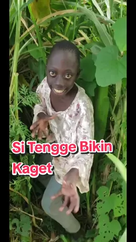 Njiirr kaget pas mau kencing di semak-semak ada tengge😂#tengge #lucu 