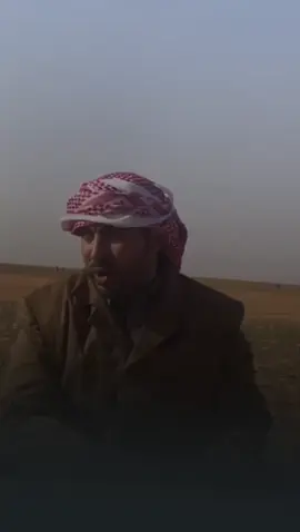 #الحويقل #سلطان_الحويقل #نادي_الابل 