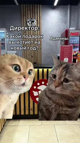 Какой подарок сделать админам?😅#MemeCut #Meme #MemeCut #доставкасуши #суши #доставкасушиминск #sushiminsk #minsk #общепит #минск #сушиминск #сушимастерминск #shushimasterminsk #