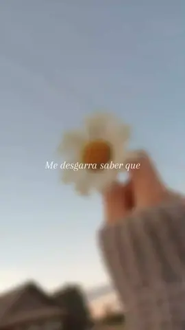 @Oasis Ministry 🔥🤍 LLÉVAME AL PRIMER AMOR ❤️‍🩹👑