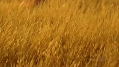 Windy Hill #windyhill #khoâmnhạcgiảitrí #khoâmnhạctoàncầu #nhạchaytoàncầu #khoâmnhạcquốctế #bộsưutậpâmnhạc #nhạchaychọnlọc #âmnhạctoàncầu #âmnhạcquốctế #âmnhạcchọnlọc #âmnhạcđiệntử #nhạcnềnpiano 