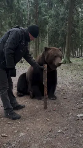 Just a normal day for (@tom.bear.tom/IG) #Worldstar #worldstarhiphop #professional 