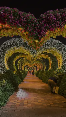 Miracle Garden Dubai 🌼🌸🌺 #dubai #virl #vedio #fyp #fouryou #fouryoupage_tiktok_ #miraclegarden #dxb_official #uaetiktok🇦🇪❤🇵🇰 @❤ Ariya709 ❤ @Yousif is here  @🅛🅞🅕🅘 🅛🅐🅥🅔🅡 