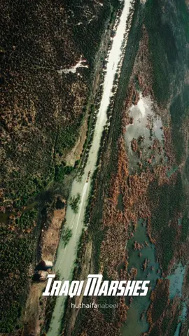 الاهوار - العراق 🇮🇶♥️ The IRAQI Marshes  Film & colored by me #تصويري #مصور #العراق #بغداد #الاهوار #درون #ترند #اكسبلور 