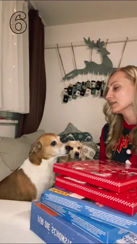 6.❤️#freetimi #tájmi #magyartiktok #joszia #foryou #nekedbe #advent 