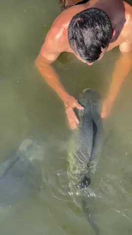 #valdemir  encantador de peixes gigante 