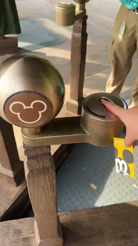 animal kingdom 🐾🦁 #disneyparks #animalkingdom #disney 