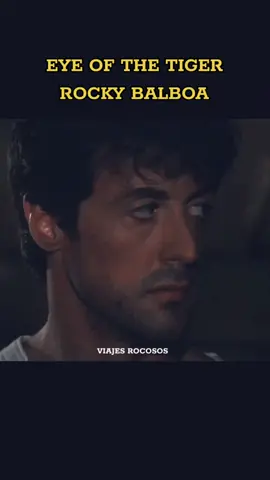 eye of the Tiger ROCKY BALBOA #eyeofthetiger #rocky #survivor #viajesrocosos #clips #song #boxing #training 
