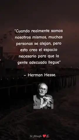#hermanhesse #letras #vida #frases #fyp #parati 