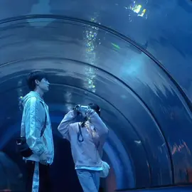aquarium date 🪼🫧 #wifty #wheniflytowardsyou #zhanglurang #rangrang #suzaizai #zhangmiaoyi #zhouyiran #cdrama #fyp #edit #Viral #zyxcba #dramas 