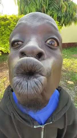 kiss me Kiss🤣 #funnyvideo #viralvideotiktok #comedyvideo #funnymoments #spo #suupportme #TikTokPromote #laughing #comedyfunnyvideos #comedf #cttoofvideo #funyvideos #funnymoments #uglyface  #fypシ゚viral #fyp #fypage #cttovideonotmine 
