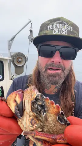 Grandpa Crab #fyp #asmr #crabs #natgeo #friendliestcatch #crab 