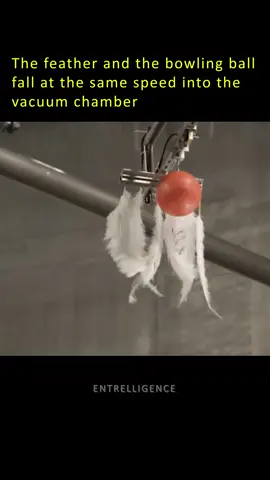WATCH: A Bowling Ball And Feather Fall in World's Biggest Vacuum Chamber Brian Cox visits NASA’s Space Power Facility in Ohio to see what happens when a bowling ball and a feather are dropped together under the conditions of outer space. 📹Via: BBCTwo/youtube - - What y'all think about this?? Comment below!👇💭 -  📌Follow for more🌟@entrelligence 👈 - - #entrelligence -----------------------------------------------------