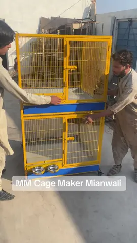#monetizedviews #viral #aseeldoor #aseellovers #aseel #mmcagefactory #everyone #mmcage  #birdscage #fypシ #fyp #viralvideo #viraltiktok #viraltiktok2023