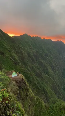 Pov: you go camping in Hawaii
