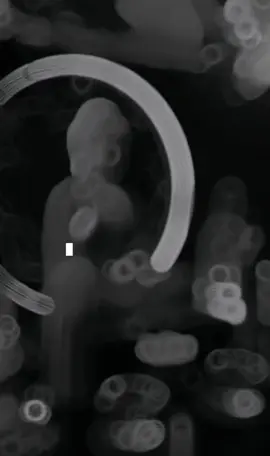 Câu nói hay của kinh Phật 🙏🙏🙏 ..! #stt_buồn_tâm_trạng #xuhuongtiktok #phatphap #story #cuocsong #fypシ #tamtrang #meohoangtsc 