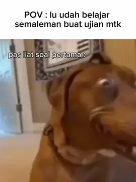 saya pun binggung #ujian #matematika #memes #fypシ゚viral #fyppppppppppppppppppppppp #masukberanda 