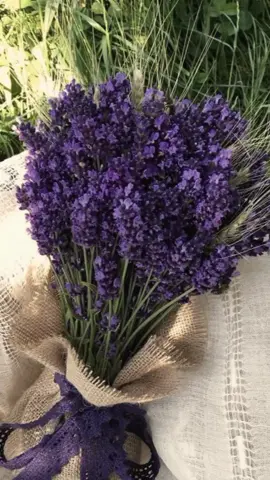 Seperti Rosemary Dalam Roh, Demikian Pula Lavender Dalam Jiwa💜 #CapCut #lavender #purple #vibes #aesthetic #pinterest #flower #fyp #fypシ #vintage #xyzabc #zyxcba #selebizzasearch #followme #foryou 