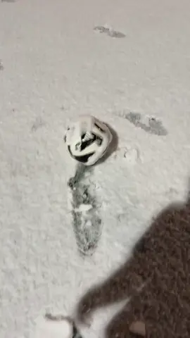 ⚽️❄️❤️ #yzfamily #football #snow 