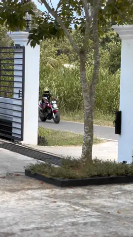 😼 #XJ #hornet #viral #ypシ゚viral #hornet_250cc #virelvideo #ypfッ #srilanka 