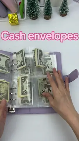 Money Saving Budget Binder #cashenvelope #cashstuffing  #cashstuffingenvelopes #savinggrace #savingmoneytips #savingchallenge #savinglives #budgetbinder #budgetingtips #budgetmeals #Money Organizer