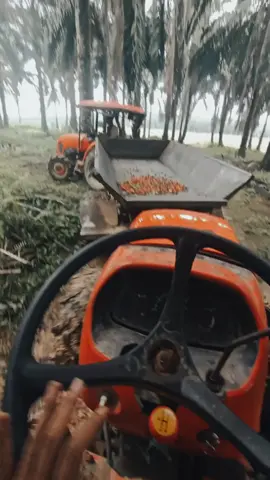 #CapCut pengendali grobag besi 💪 #foryou #kubota_tractor #kubota #sawitontiktok #kebunsawit #mekanikindonesia #mekanikmuda #rantaukalimantan #kalimantantegah #sawitindonesia #fypシ 
