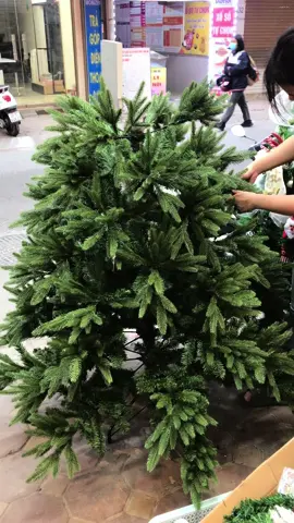 Liên tục lắp cây thông PE cho khách đặt đơn. Mẫu cây thông đẹp nhất noel năm nay-#caythong #caythongpe 