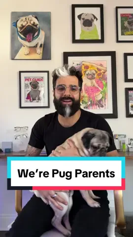 We’re Pug Parents! 🐾 #pugs #pugsoftiktok #dogsoftiktok #weresisters 
