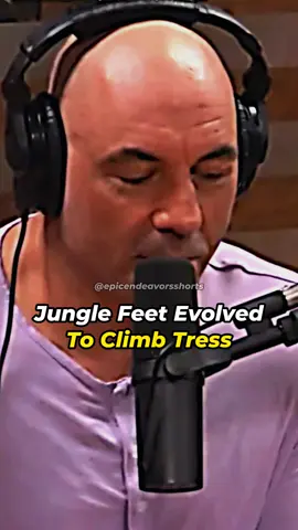 This is AMAZING #jre #jreclips #joerogan #amazonforest