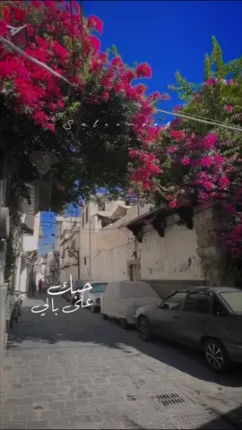 حبك على بالي بمزاجو وبدلالو 🤍🤍 #قول_انشالله❤️ #وعدني_وقول_انشالله #ايوان #فرح_شريم #farahchreim #farahchreim🥰❤️❤️ #cover #coversong #coversongs #damascus #الشام #الشام_القديمة #syria #سوريا #تصميم_فيديوهات🎶🎤🎬 #اكسبلورexplore #music #song #songs #عائلتي #موسيقى #اغاني #lyricvideo #lyricsvideo #lyrics_songs   #tiktokmusic #tiktokarab #tiktoklongs #viral #fyp #foryou #foryoupage #fypシ #explore #اكسبلور  #دعم #مشاهدات 