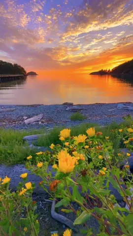 CHIÊU BIÊN GIỚI EM ƠI 🇻🇳💫 Trang : Nhạc hay cảnh đẹp☘️