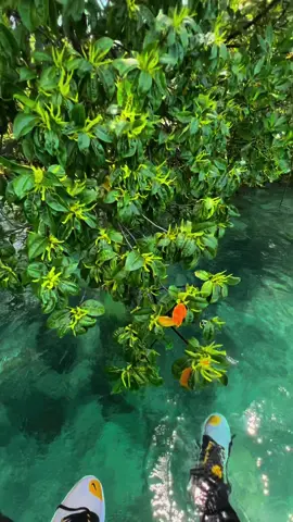 Amazing Jakarta 😱 Best Shoot Ever … • • • #beauty #jakarta #pemandangan #viral #fyp 