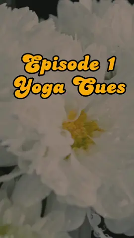 Full podcast episode on Spotify  #yogateacher #yogapodcast #yogateaching 