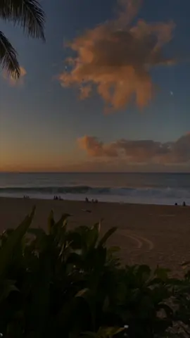 Hoy quiero amanecer tomándome unos tragos.. 🥃 #DiomedesDiaz #vallenato 