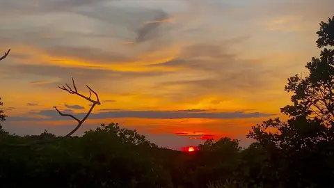 | Phần 23 | Hoàng hôn là một thứ gì đó.. #xuhuong #chill 