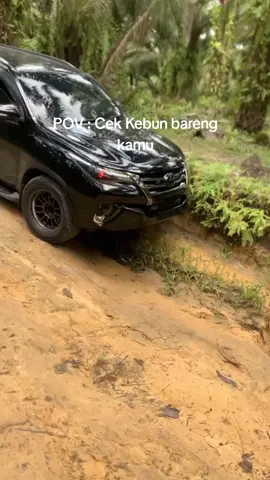 #pypage #sawitkalimantan #cekkebun #kulisawit #petanisawitpemula #petanisawit #2gdfortuner #diselpower #cumicumidarat #kebunsawit #foryou #pypage #fypシ #sawittiktok #sawitbalap 