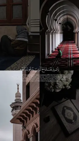 سورة الكهف: نور مابين الجمعتين✨/ #قرآن_كريم #أحمد_خضر #سورة_الكهف #اكسبلور #fyp #explore #quran 