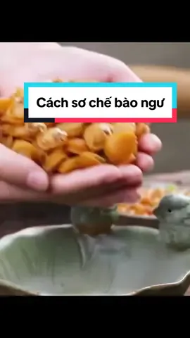 Cách sơ chế bào ngư khô nấu súp hầm canh #baongukho #baongukhohongkong #baongucaocap 