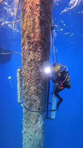 Welder Underwater #welderindonesia🇮🇩 #tigwelding #cilacap #weldernation #kontruksi #balikpapan 