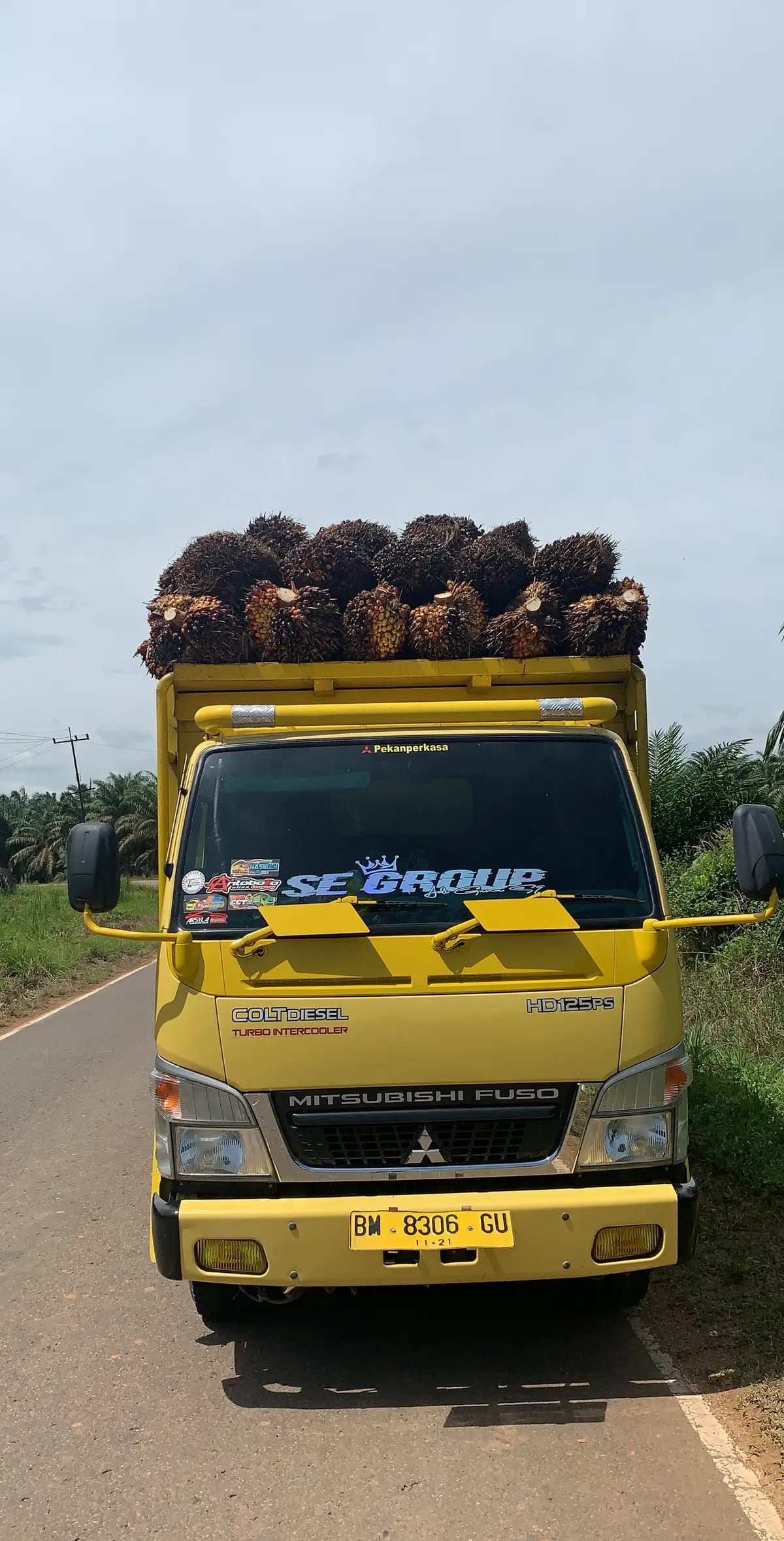 #paprandom #xybca #trend #trucksawitriau #segroup #fyp #kulisawit #petaniindonesia🇮🇩🇮🇩🇮🇩🌿🌿 
