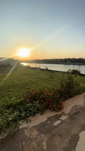 البوعيثه 🌸#البوعيثه #جيش_حسحس #العراق #نهر_دجلة 