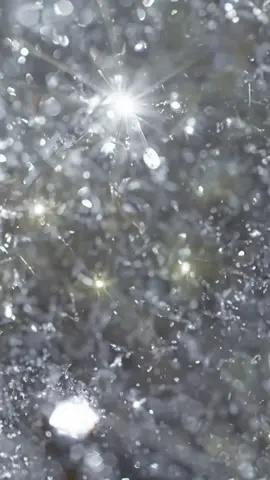 #snow #winter #bjork 