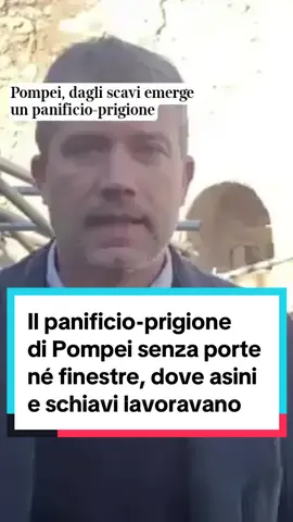 Pompei, dagli scavi emerge un panificio-prigione: un ambiente dove uomini e asini erano privi di porte e finestre. Una nuova testimonianza della Pompei di un tempo è emersa da recenti lavori di scavo. È una ulteriore conferma del lavoro massacrante a cui erano sottoposti uomini, donne e animali negli antichi mulini-panifici dell'epoca precedente l'eruzione del Vesuvio ed è costituita dal recupero di un ambiente angusto e senza affaccio esterno, con piccole finestre con grate in ferro per il passaggio della luce che era adibito alla lavorazione del pane. Una sorta di panificio-prigione in cui gli operai e gli asini erano praticamente ridotti in schiavitù, rinchiusi e sfruttati per macinare il grano necessario a produrre il pane. Il direttore Zuchtriegel: «È il lato più sconvolgente della schiavitù antica, quello privo di rapporti di fiducia, dove ci si riduceva alla bruta violenza» #pompei #pompeiitaly #archeology #archeologia #notiziedelgiorno #corrieredellasera 