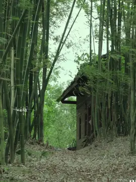 Đừng có để buồn cho nhau em nhé Cuộc đời này chẳng mấy tháng năm đâu... #amthanhcuocsong #90svibes #canhdep #chualanhtamhon #chillvibes #videotamtrang #thiennhien #chualanh 