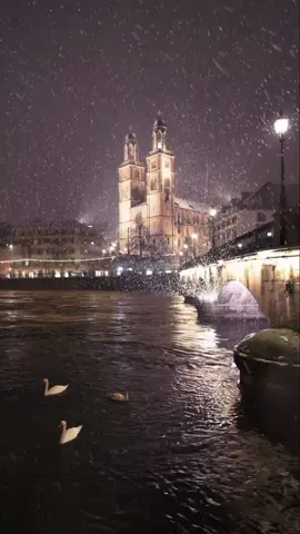Winter stroll through Zurich ☃️🎄 Such snowfalls have something very calming about them 😌 #zurich #snowfall #winter #zürich #switzerland #foryou #city 