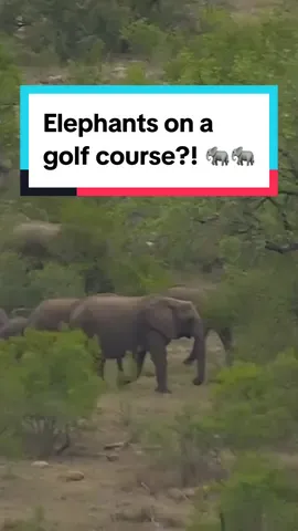 A course like no other 🇿🇦 