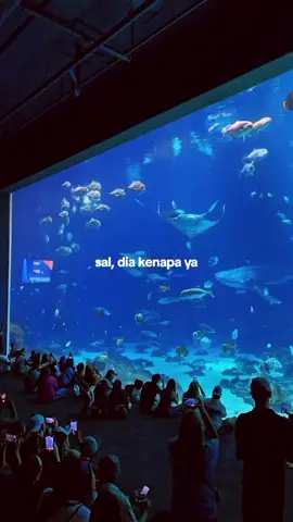 #fypterus #4you #fypシ゚viral #fyp #xyzbca #foryou #4u #fypmalam 