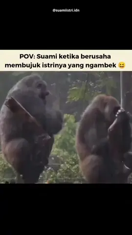 Jian angel🙈 #tiktok #kingkong #katakata #reels #keluarga #capcut #satria_jack #tranding #story #hariini #status #fyp 